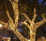 LumiFest LED Weihnachtsbeleuchtung – 10M / 50M / 100M