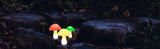 LUMIGLOW Solar-Pilz-Lichterkette-Leuchtezauber