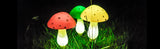 LUMIGLOW Solar-Pilz-Lichterkette-Leuchtezauber