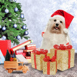 LumiGift 3er Set Beleuchtete Geschenkboxen mit LED