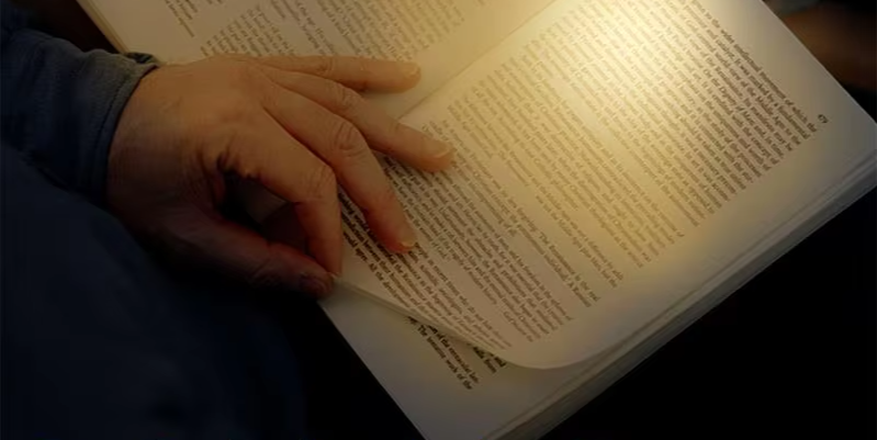 LumiFlex - Tragbare dimmbare LED-Leselampe mit USB-Akku-Leuchtezauber