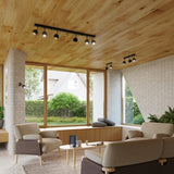 LED Deckenleuchte Oculare 6L Schwarz-Leuchtezauber