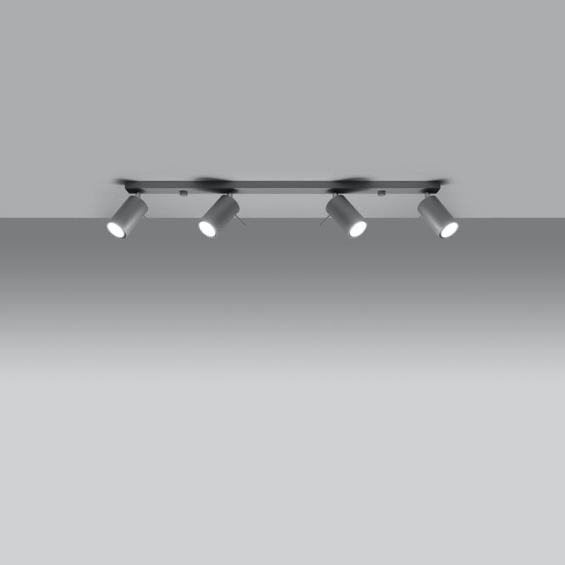 LED Deckenleuchte Ring 4L Grau Modern-Leuchtezauber