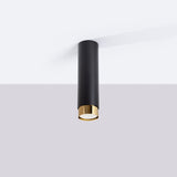 Plafond Nero Ø22,5 Cm Schwarz-Gold Edle Deckenlampe Mit Akzent-Leuchtezauber
