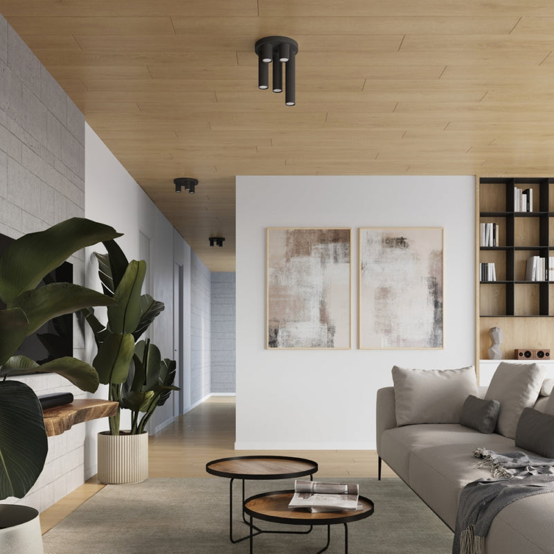 Plafond Lagos 3-Flammig Schwarz Elegante Lichtlösung Mit Spots-Leuchtezauber