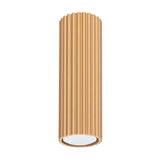 Plafond Karbon 20 Golden Moderne 2-Flammige Deckenlampe-Leuchtezauber