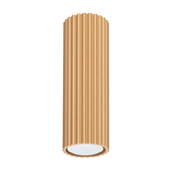 Plafond Karbon 20 Golden Moderne 2-Flammige Deckenlampe-Leuchtezauber