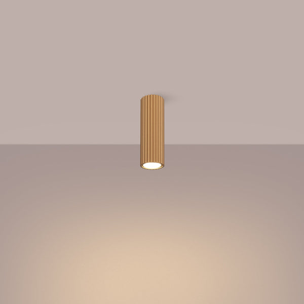 Plafond Karbon 20 Golden Moderne 2-Flammige Deckenlampe-Leuchtezauber