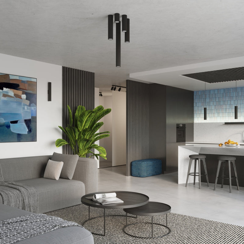 Plafond Karbon Ø20 Schwarz Kompakte Runde Lampe In Schwarz-Leuchtezauber