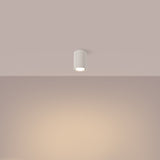 Plafond Karbon Ø10 Beige Kleiner Spot Mit Natürlicher Ausstrahlung-Leuchtezauber