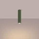 Plafond Karbon Ø30 Olivgrün Moderne Farbnote Für Wohnräume-Leuchtezauber