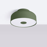 Plafond Omiq Olivgrün Stilvolle Farbe Trifft Minimalistisches Design-Leuchtezauber