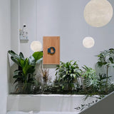 Mond Pendelleuchte-Leuchtezauber