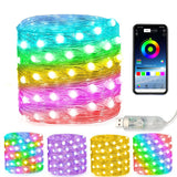 LUMISHOW RGB Smart LED Lichterkette – 10M/20M