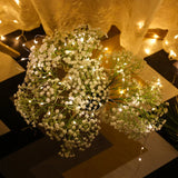 LumineoPro USB LED Lichterkette – 10/20/30 Meter