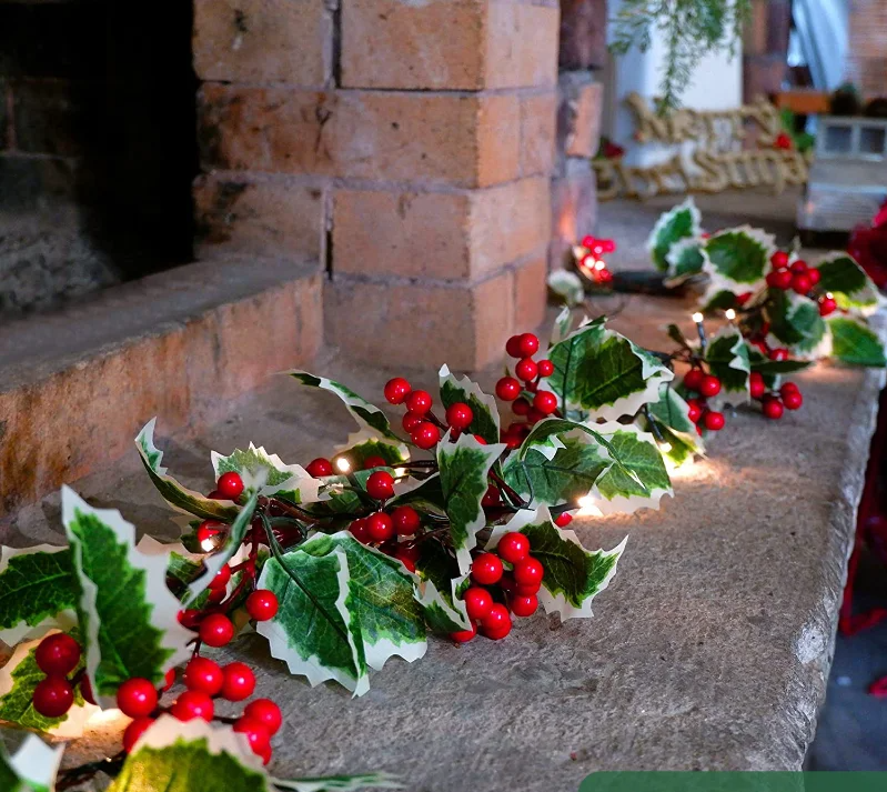 LumiBerry 2M LED Kerstguirlande