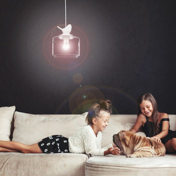 Vogel-Hängelampe für das Wohnzimmer-Leuchtezauber